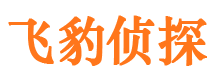 新县外遇出轨调查取证